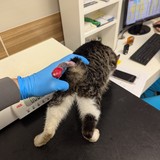 PXL_20251210_095455774