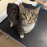 PXL_20251210_095436173.MP