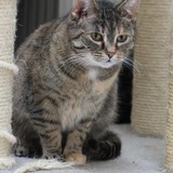 1c5acf8b-a2a9-4b7f-aed3-937228412424