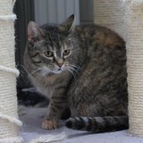 7891158f-6907-4248-b185-c45bbc682390