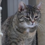 b70528ac-8285-4bee-bfad-89c3b1b62023