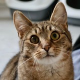 1da88304-25d6-44d5-a9c1-7200ccf231f6