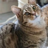 97b804c0-12c7-4ea2-80c4-44b0a4e43e84