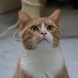 7a1e1a10-6802-4f02-bc3e-3419142d21be