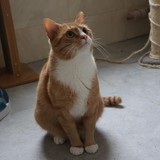 c111fce0-c967-4826-b90a-c2e41d2028f0