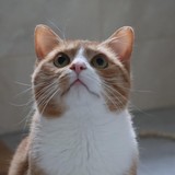 4ce034e1-27b3-4815-80b5-5d89e1db7138