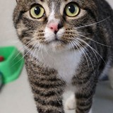 759b719f-b5b4-49d7-ba15-29db12defdb9