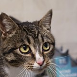 5999388c-258f-4745-94d5-994613925d61