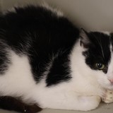 ca87c36d-2ffa-459b-823d-9268b0c5e1c5