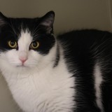 9b01032b-1320-4a23-ad88-206ab7a4015d