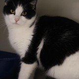 5bd4cc87-6bf0-431a-a507-301afceb6144