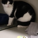 1a2592c4-3a36-495c-9550-a012c0e3b200