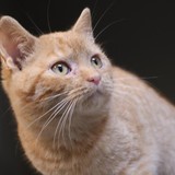 e8f156cd-d0d6-4086-8166-214fc66c43c6