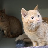 153a345c-8c8d-4802-945e-8926cfa7db0e