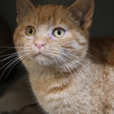 06bcb2e7-6a86-4a78-af8b-e8bda7b3fb12