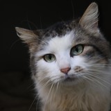 13090560-c13c-4959-92b9-8504978a3d0e