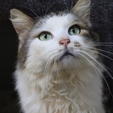 49b04b24-2222-4241-b88b-ff007a2bf2aa