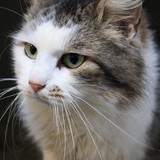 52229c59-ca71-49ae-8cfe-23ff4fb539bd