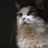 f4468907-7d43-45a8-a5e8-ffa46959700c