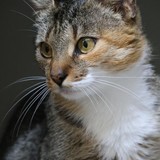 be5b7f61-08c2-4f10-8f32-2aa833d6282d