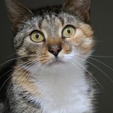 82fa636d-71ea-450f-8717-676a634e145b