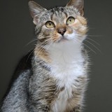 85da3550-92ac-4376-a8d3-c70c10aa08db