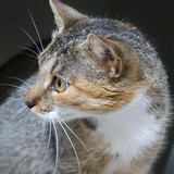 d9ef0c4b-3950-42ef-8f3f-f77720855120