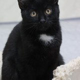 da694ae2-3bc6-4c45-a23d-316bdfed6550