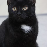 9381325f-7532-492e-b460-1e1221027fc9