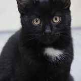 dd004e8f-38ff-4480-8998-3efe191293d5