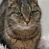 4b6afd05-caf0-4539-9b11-fbed5ea8993b