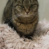 e2806cab-e79b-4848-a79f-c43d758e63b3