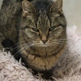 82cc5846-8ccb-4299-95d9-999e6d08c251