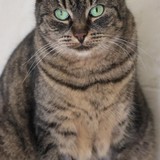 64228609-8ca0-45d6-9a42-634622ca387c