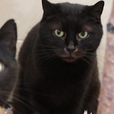 6093a719-ab6c-4eba-9602-bee5ef567bda