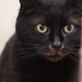 cedf8ab6-7018-4e97-974f-0b2f02e25c69