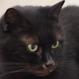 7718498f-edf5-4453-834a-ba4943e9d409