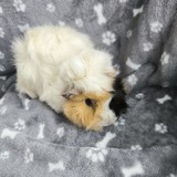 IMG_20260114_092203_1