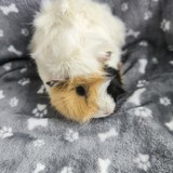 IMG_20260114_092154_1