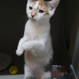 0bcf2c0c-41fc-4824-a0a8-2f0b41e46164