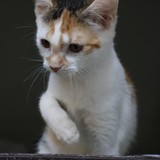 934ae7b2-1a3a-4b99-bfe5-0949f01b1fce