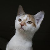 555c26d8-d09d-4126-82c9-9d657683f30a