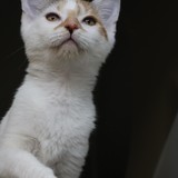 52357c5a-c1cf-4dd5-b493-327cf5ff7fe1