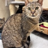 b2207aed-831e-4e8f-951a-7fe667c7efed