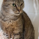 f31a7747-f392-4ebe-81e1-70c636adc443