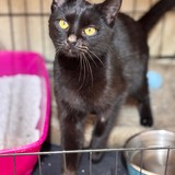 65b51e44-2da0-4ced-9f12-07236925659a