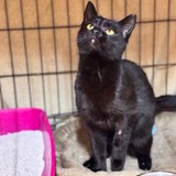 4348eb1c-a9de-49f1-9279-64135e4eb7ff