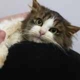 be72f776-03ec-46fb-8c99-3263fb41fed5