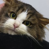 eda59434-5587-4811-b282-fe410f98bdba