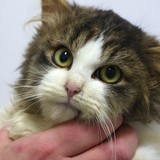 98702952-e519-4768-ba10-1b1a297e68b1